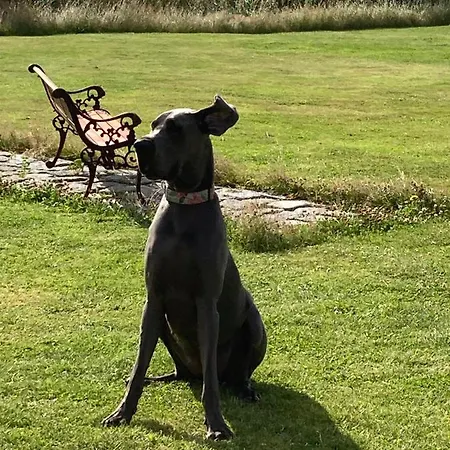 Nordpalais Vor Sylt Appartement Emmelsbüll-Horsbüll